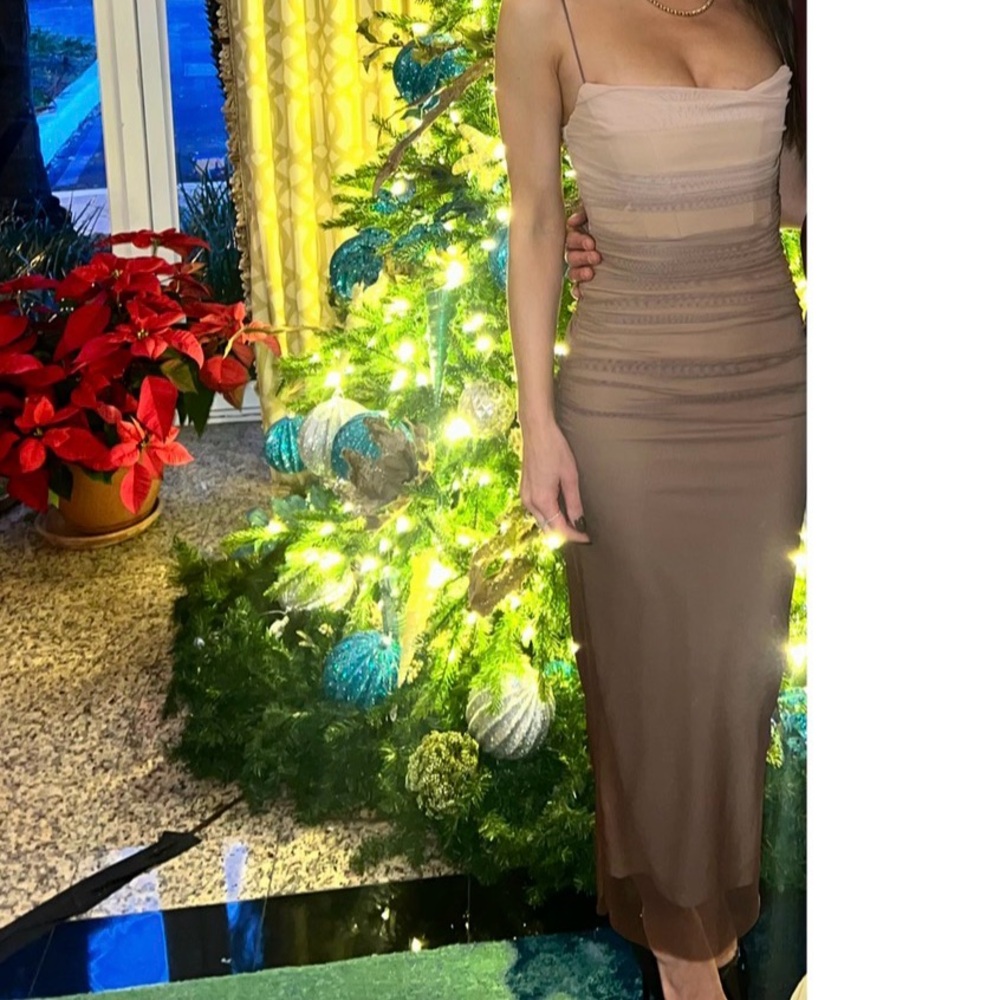 Zara Beige and Brown Midi Dress